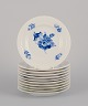 item no:
576756 item no:
576756
