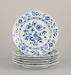 item no:
576761 item no:
576761