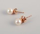 item no:
578362 item no:
578362