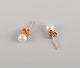item no:
578363 item no:
578363