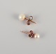 item no:
578367 item no:
578367
