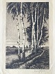 emne nr: 
599639
