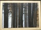 emne nr:
600035