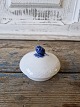 item no:
602503 item no:
602503