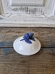 item no:
602517 item no:
602517