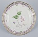 item no:
603244 item no:
603244