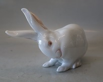 item no: 608538