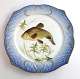 Royal Copenhagen. Fish set No.19. Model 3002. Diameter 22.5 cm. Cyprinus tinca. 
Produced before 1923. (1 quality)