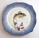 Royal Copenhagen. Fish set No.19. Model 3002. Diameter 22.5 cm. Trigla 
gurnardus. Produced before 1923. (1 quality)
