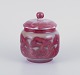 latest
new item latest
new item