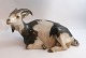 Royal Copenhagen. Lying goat. Model # 466. Length 27.5 cm. (1 quality). Produced 
before 1923.