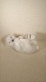 item no:
61767 item no:
61767