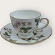 WedgwoodWild StrawberryTeacup*DKK 150