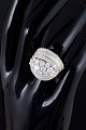 latest
new item latest
new item