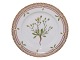 Flora Danica Side plate 17 cm. #3551