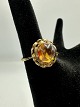 14 Karat Guld Ring med Rav