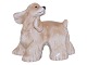 Royal Copenhagen figurAmerikansk cockerspaniel