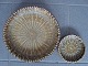 emne nr:
93886