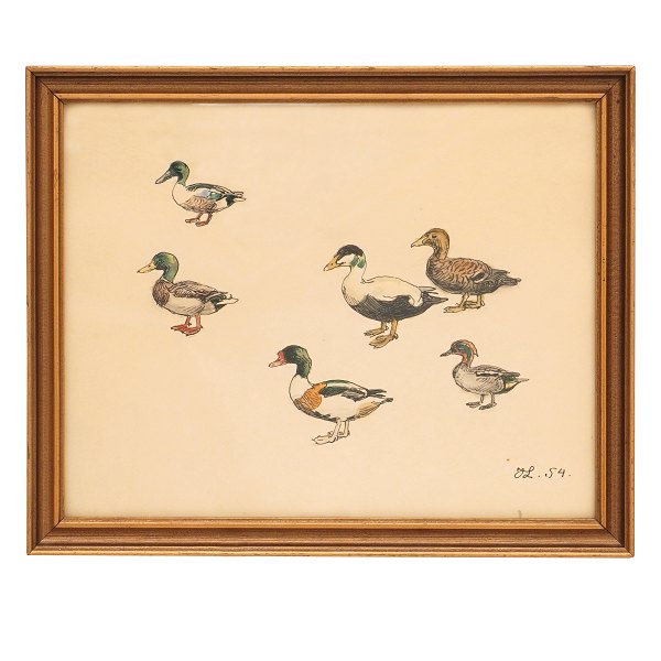 Johannes Larsen, 1867-1961, pencil and water color, ducks. Signed and dated 
Johanns Larsen 1954. Size: 26x32cm