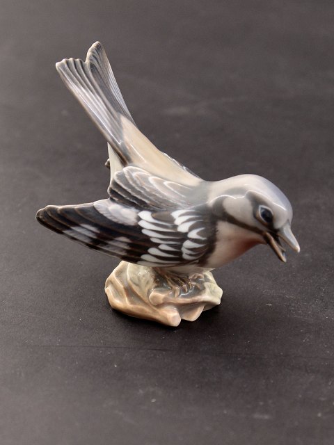 Dahl Jensen fugl 1320