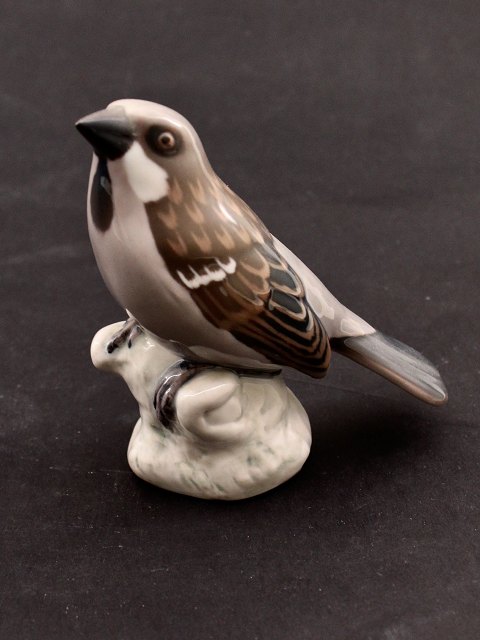 Bing & Grøndahl, Gråspurv. Nr. 1888.